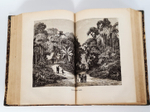 "Малайский архипелаг: Страна оранг-утана и райской птицы". А.Р.Уоллес. 1872г.