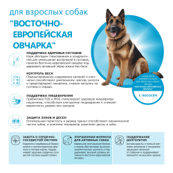 Корм сухой для взрослых собак породы Восточно-европейская овчарка, премиум полнорационный комплекс, с лососем, 2,5 кг, QUATTRO