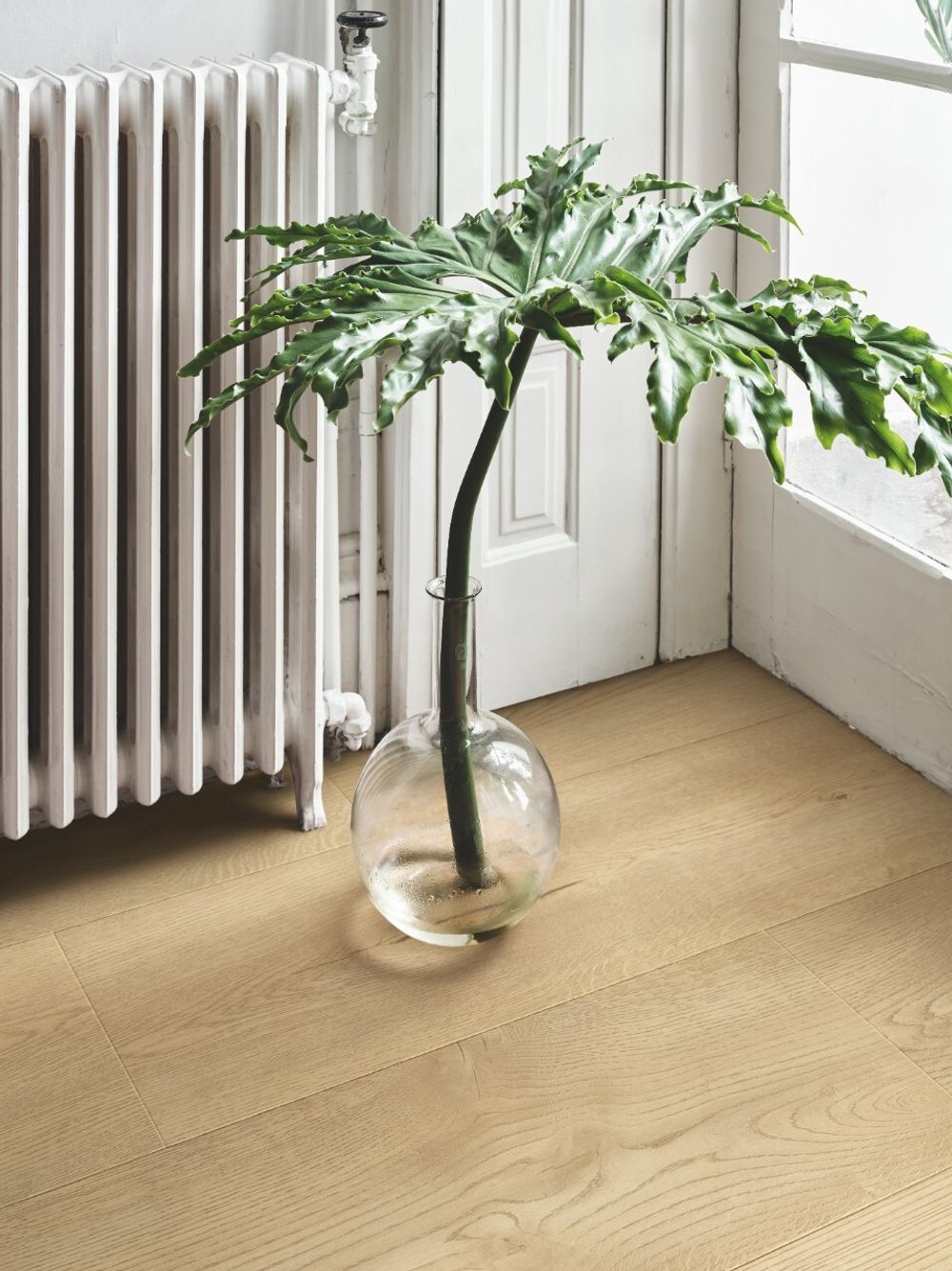 Stavanger pro Дуб приозерный, 2,306 м²