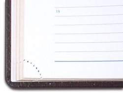 Ежедневник Letts Global Deluxe A5 белые страницы золотой срез (412 127243)