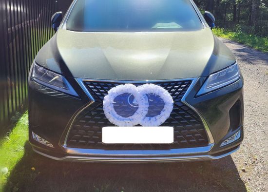 Свадебные кольца для украшения машины, белые