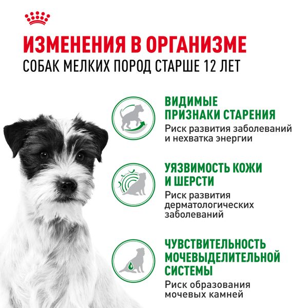 Пауч Royal Canin Mini Ageing 12+ для стареющих собак мелких размеров в возрасте старше 12 лет