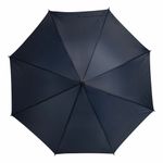 Автоматический зонт-трость LIMBO