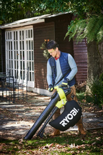Садовый пылесос Ryobi RBV3000CESV 5133002190