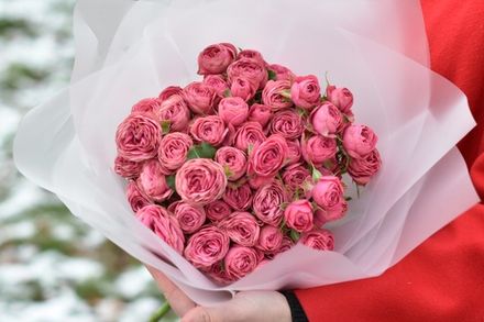 Цветы, букеты из цветов