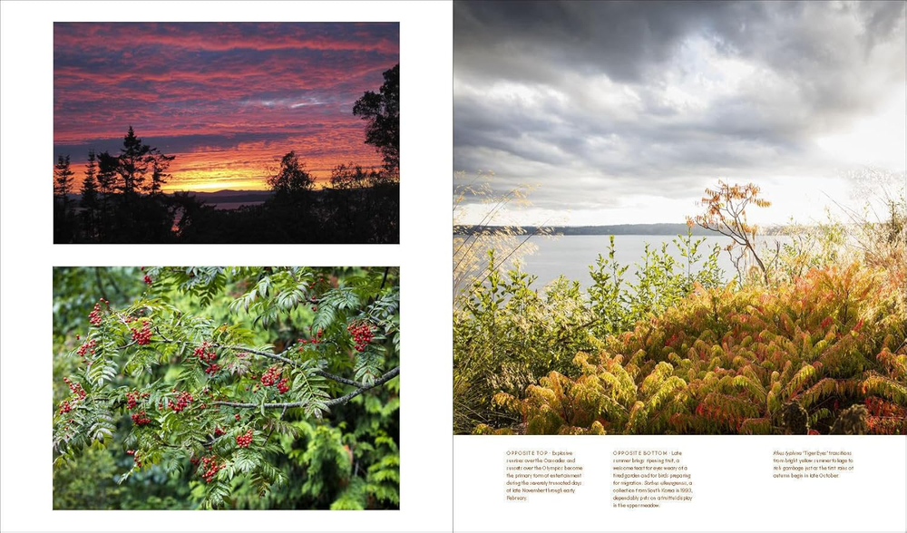 Windcliff: A Story of People, Plants, and Gardens