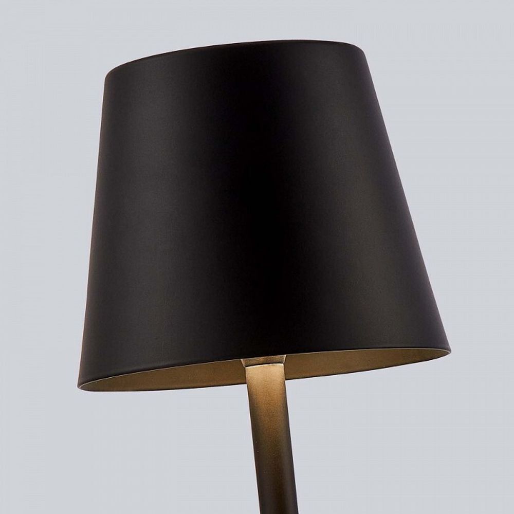 Настольная лампа декоративная F-promo Pyari 4615-1T