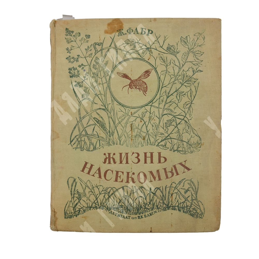 Physiologus syrus, sev Historia animalium XXXII / Сирийский физиолог. История животных. 1795.