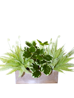 Искусственное растение Папоротник с зеленью 45см в деревянном кашпо