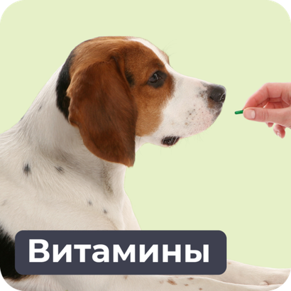 Витамины и добавки
