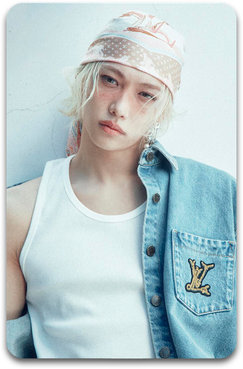 Карта / STRAY KIDS #3349