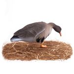 Комплект чучел Гусь Белолобый (10шт) S-XPE B622X-UV "Живое перо",  "North Way"