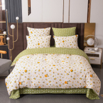 Комплект постельного белья Сатин 100% хлопок C638