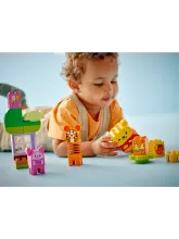 Конструктор DUPLO 10457 День рождения Винни-Пуха