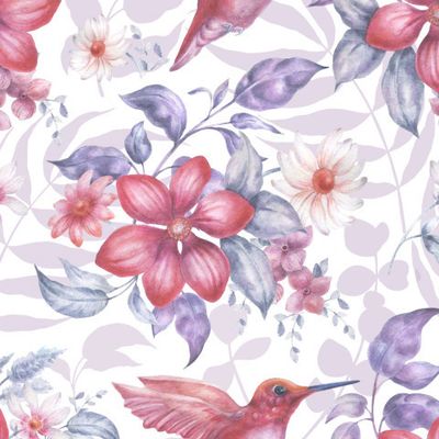 Тропики и колибри