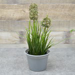 Стакан под рассаду большой 800мл