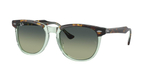 RAY-BAN EAGLE EYE RB2398 1376BH