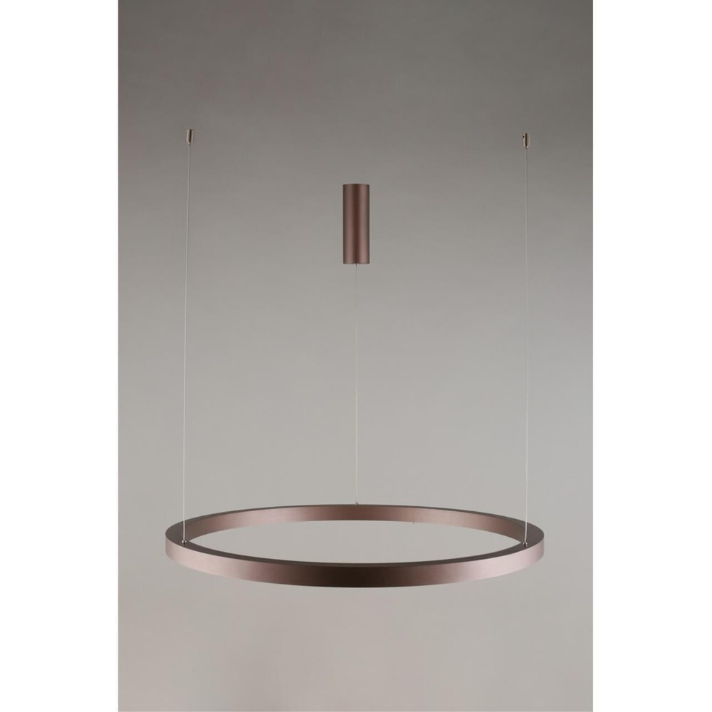 Подвесная светодиодная люстра Aployt Nisia APL.025.03.60