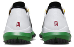 Nike Tiger Woods 2013 "Masters"