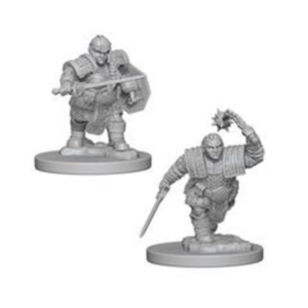 Nolzur's Marvelous Miniatures - Dwarf Female Fighter
