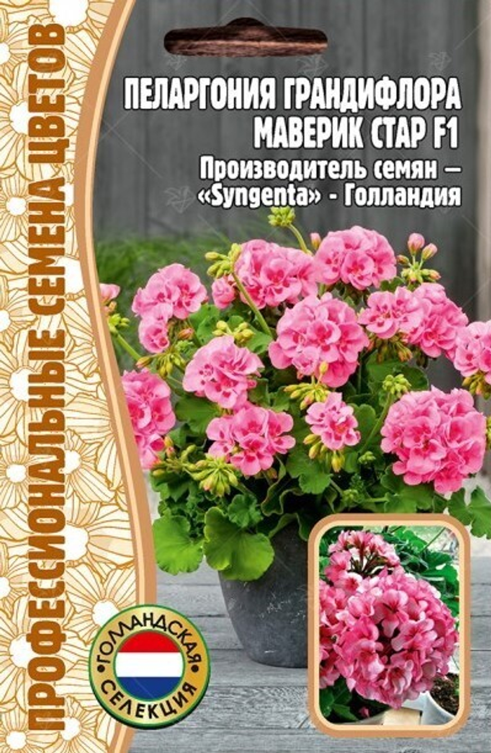 Пеларгония грандифлора Маверик Стар