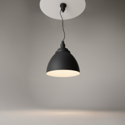 Подвесной светильник Maytoni P535PL-01B