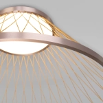 Потолочный светильник Eurosvet CESTA 40019/1 4690389212581