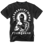 Футболка Vigrid Division "Законопослушный гражданин" Черный