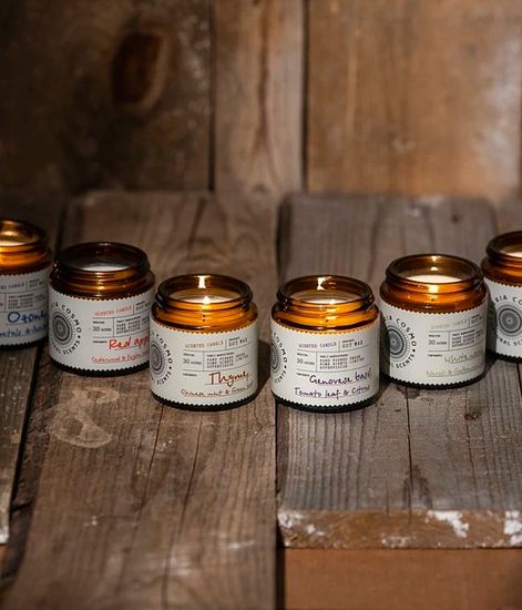 Нарцисс нероли и мускус, ароматическая свеча, Eteria cosmo