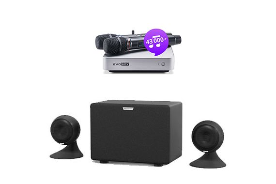 Комплект караоке Evolution Evobox Plus [Silver] + стереосистема EvoSound Sphere + цифровая радиосистема