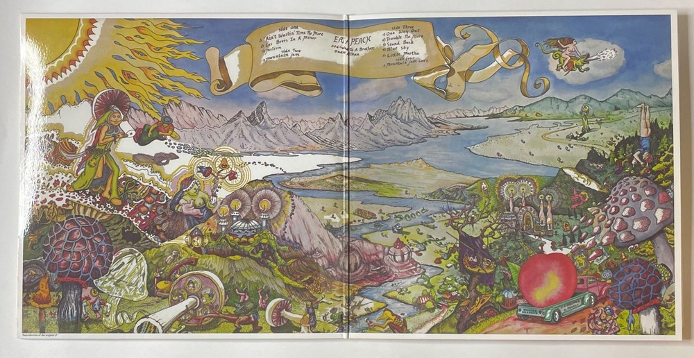 Винтажная виниловая пластинка LP The Allman Brothers Band Eat A Peach (Россия 2008)