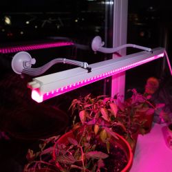 Светильник для растений, фитолампа светодиодная линейная ЭРА FITO-18W-PL-LINE 573-GR красно-синего спектра 18 Вт Т5 | Линейные фито светильники