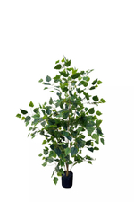 Береза 120см (тёмный ствол)