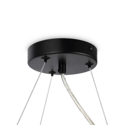 Накладная люстра Maytoni MOD545PL-11B