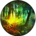 Wintersun / The Forest Seasons (Box Set)(Picture Disc)(2LP+3CD)