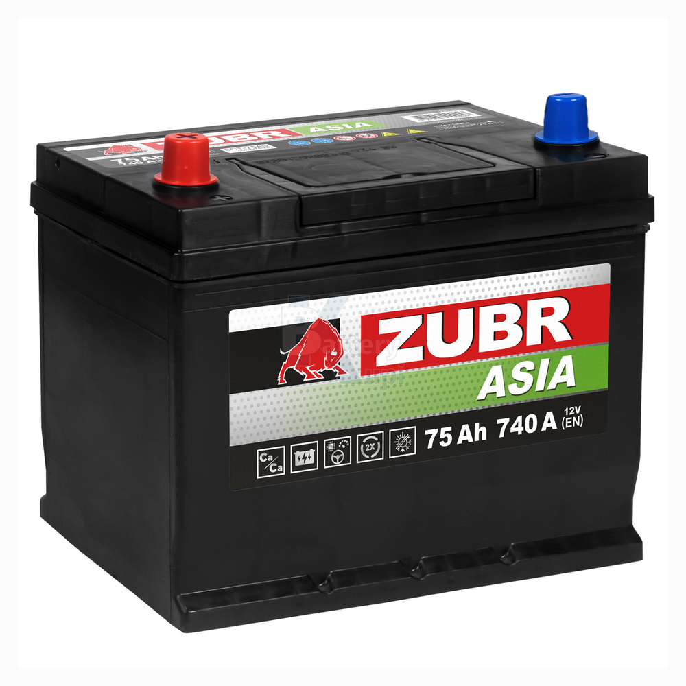 Аккумулятор ZUBR Premium Asia (75Ah, 740A, L+) ZPA751
