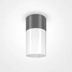 Потолочный светильник Willis E27х1 60Вт IP 54 Outdoor o418cl-01gr