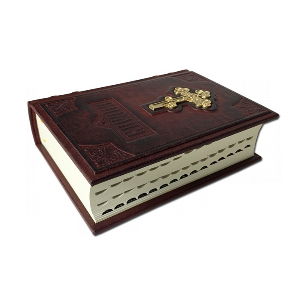 Библия с комментариями и приложениями