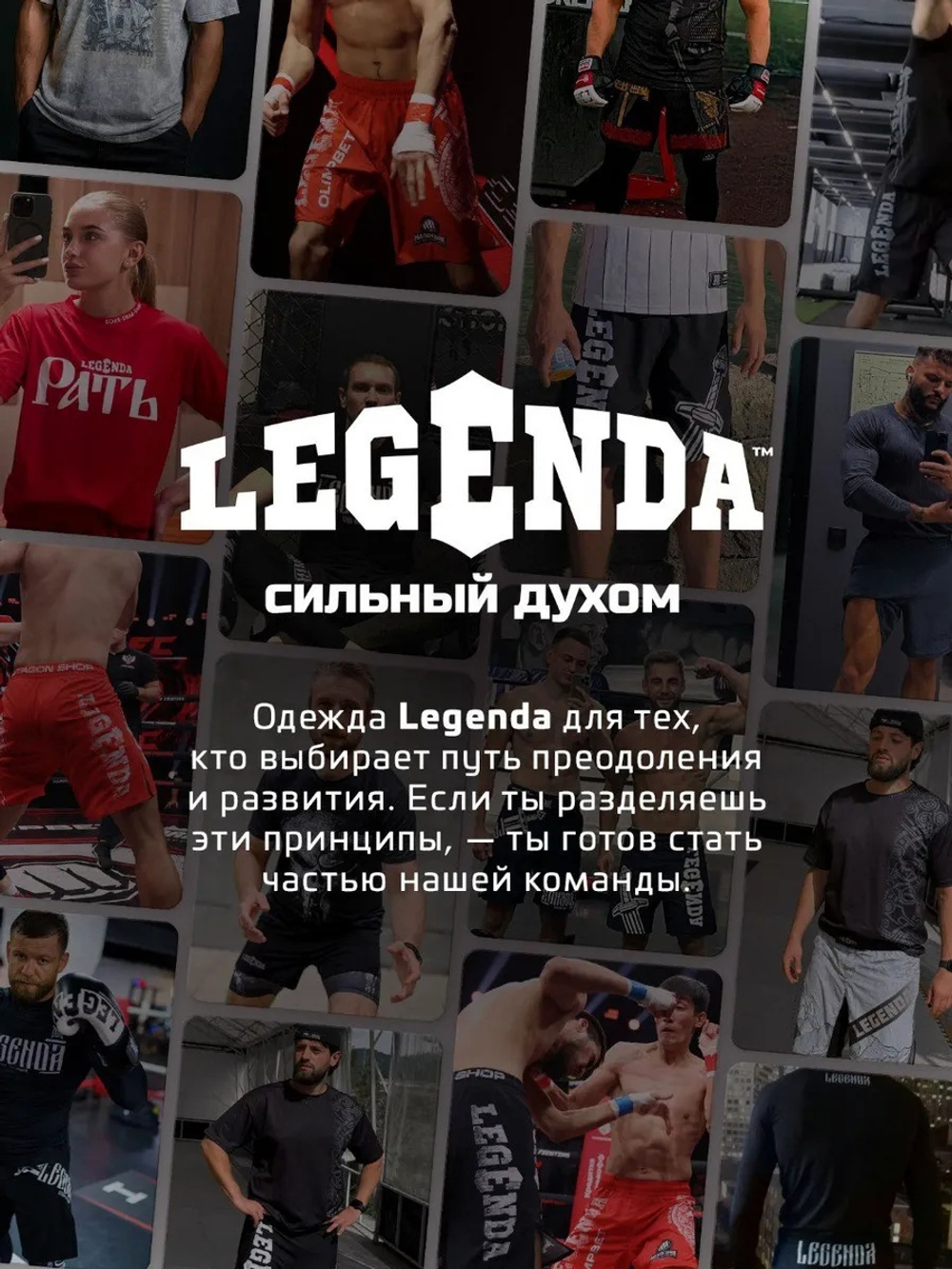 Шорты ММА Legenda Горы и Меч серый