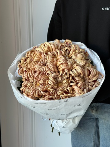 Моно букет из одноголовой кудрявой хризантемы в бежевом оттенке