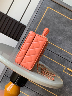 Chanel Bag (2 sizes)
