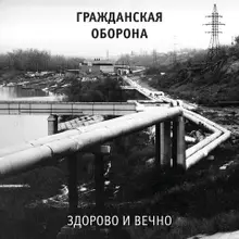 Виниловая пластинка. Гражданская оборона - 