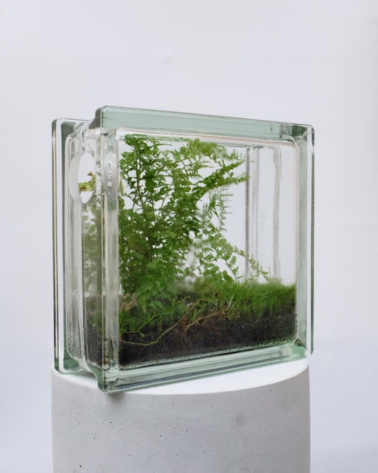 Экосистема Window