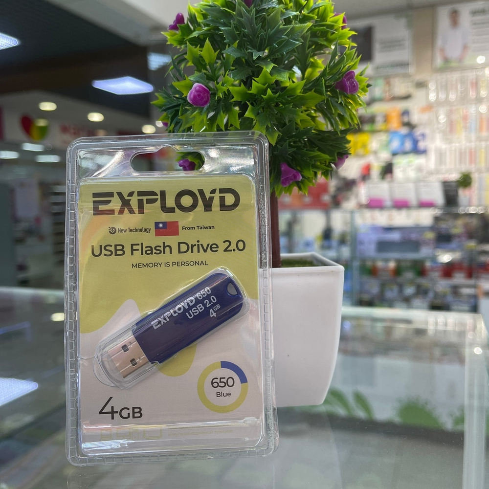 USB Флешка 4GB Exployd 650, USB 2.0, синяя