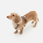 Анатомическая шлейка Cow