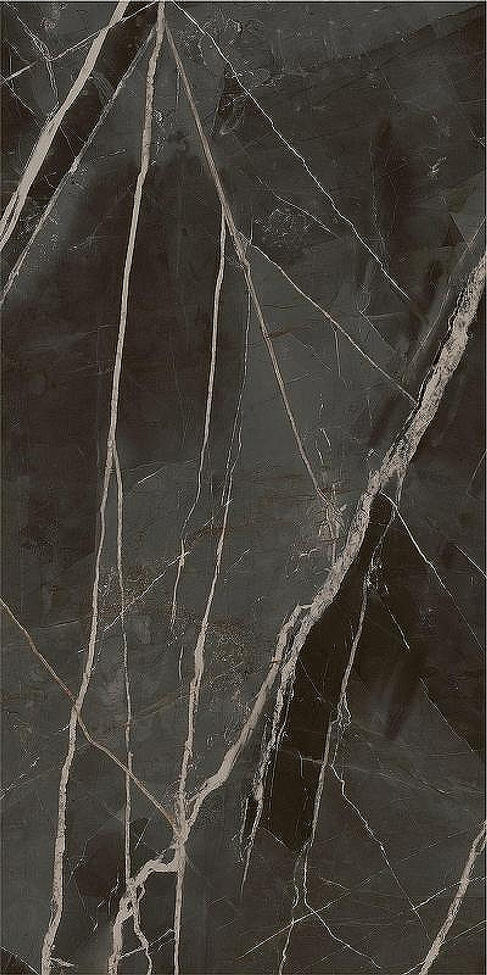 Керамогранит Italon Stellaris Absolut Black шлиф 610015000682 60х120 см