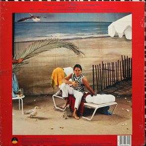 Timothy B. Schmit / Playin' It Cool (LP)