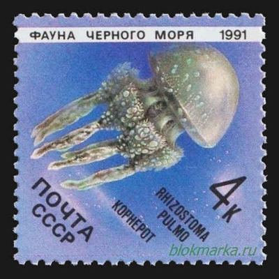 СССР 1991 г № 6279 Фауна Черного моря Медуза Чистая MNH **