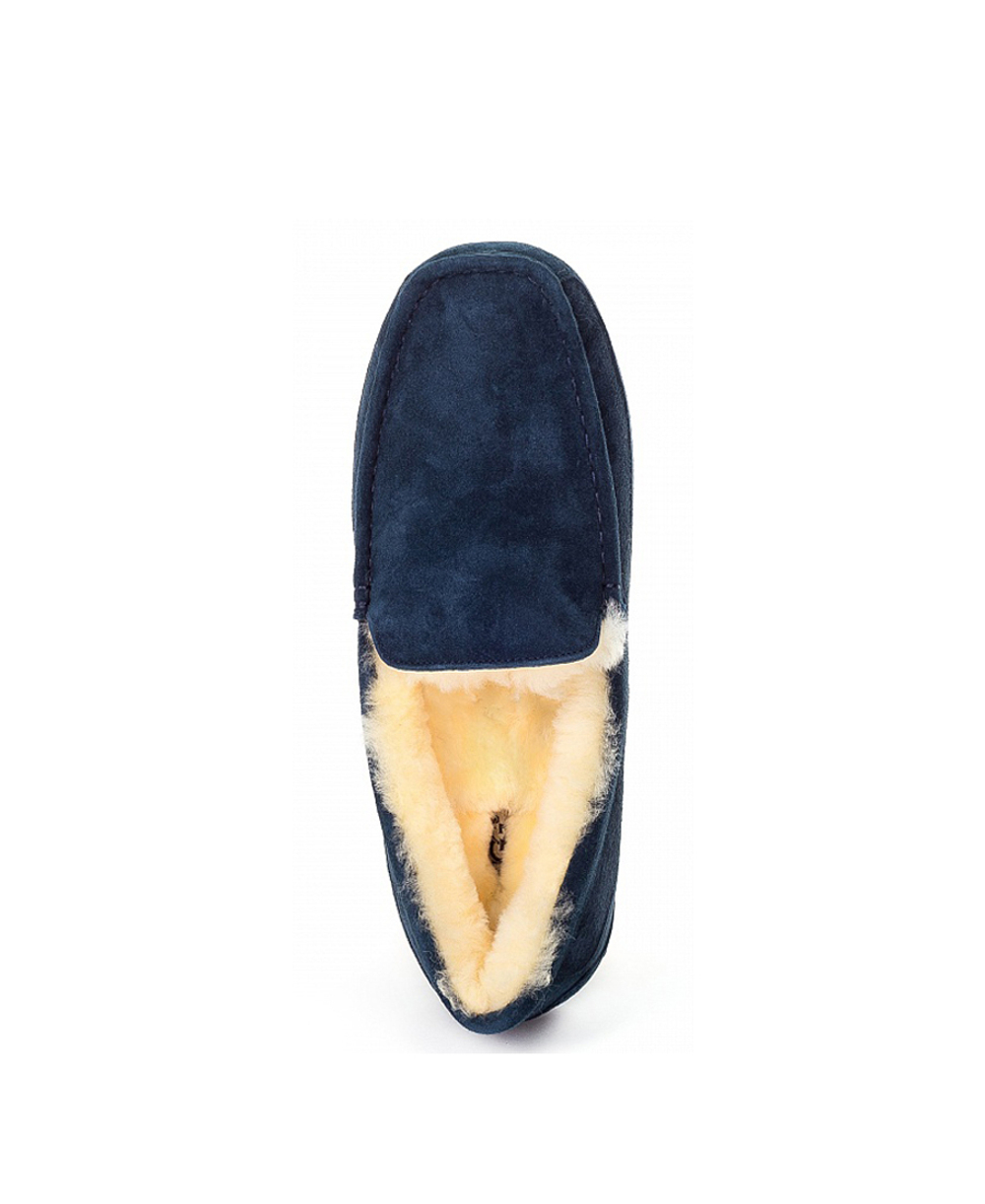 ASCOT MENS navy