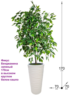 Искусственное растение Фикус Бенджамина зеленый 170см в высоком круглом кашпо